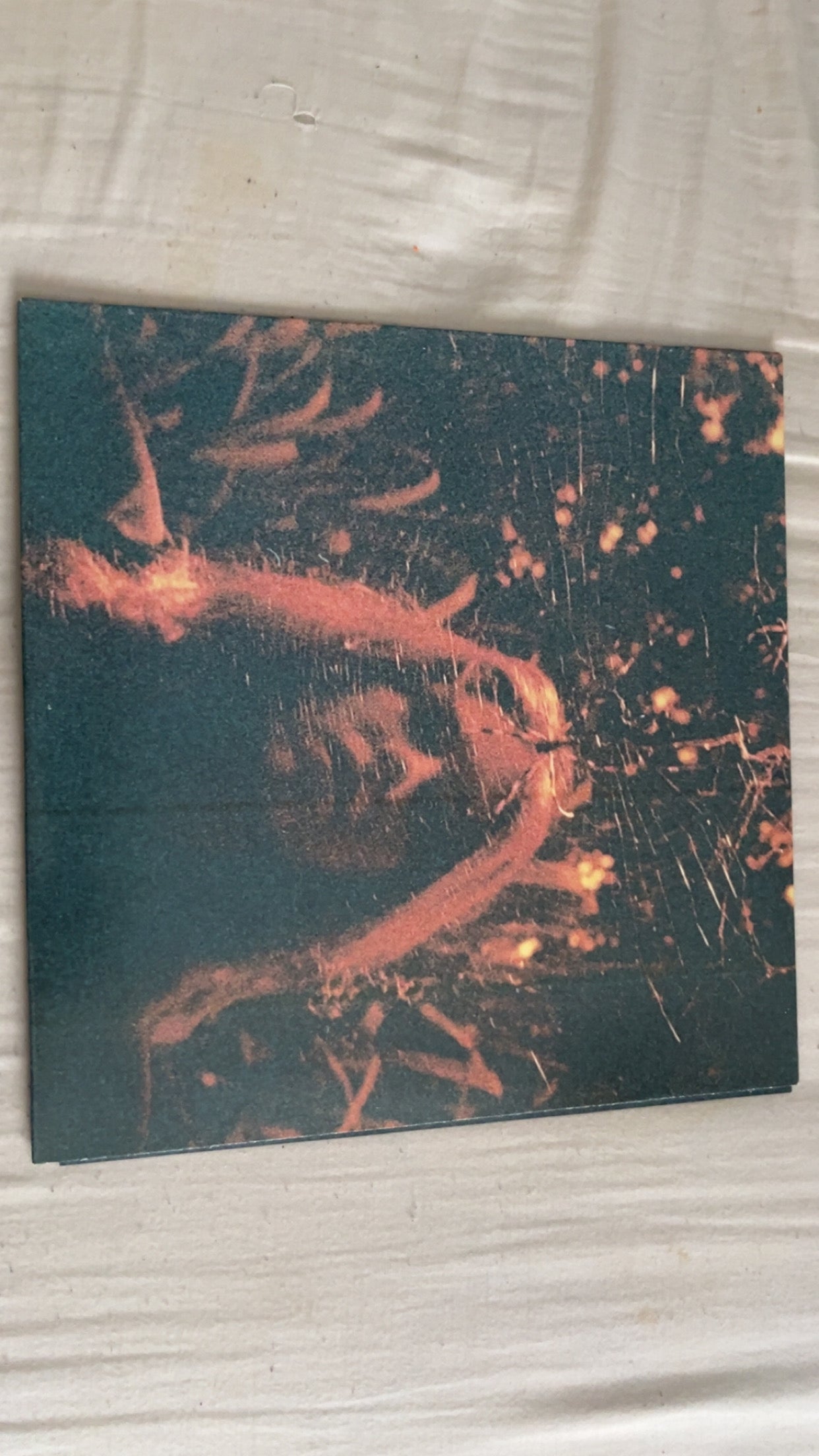 Peripheral Vison Vinyl